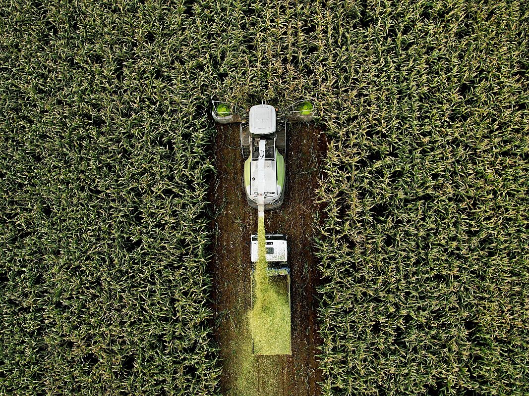 Grafika Biogaz z odpadów roślinnych